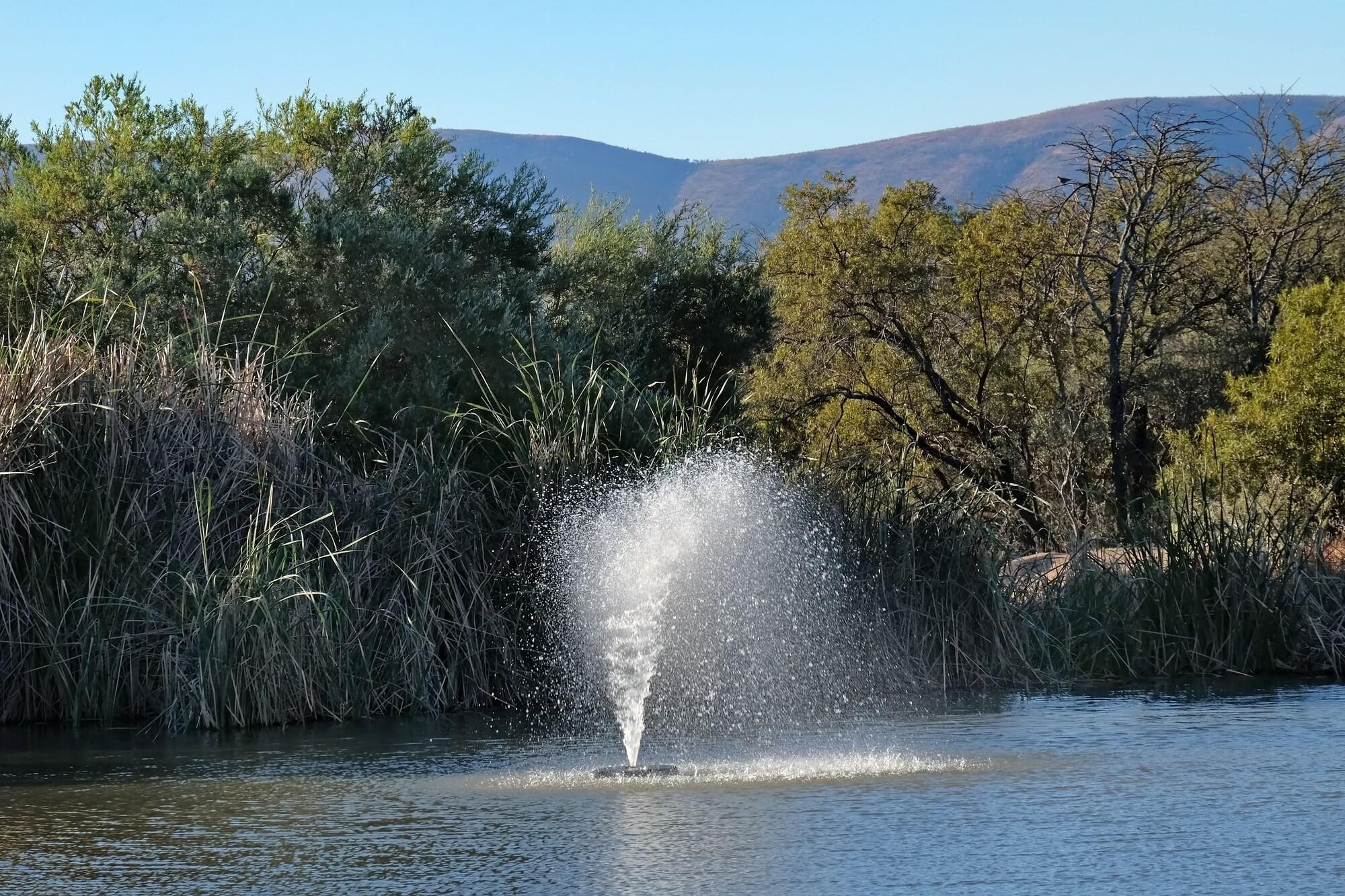 PROTEA ZEBULA LODGE 37/50