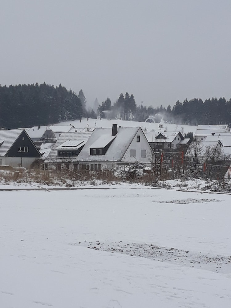 Die Zwei Löwen 47/50