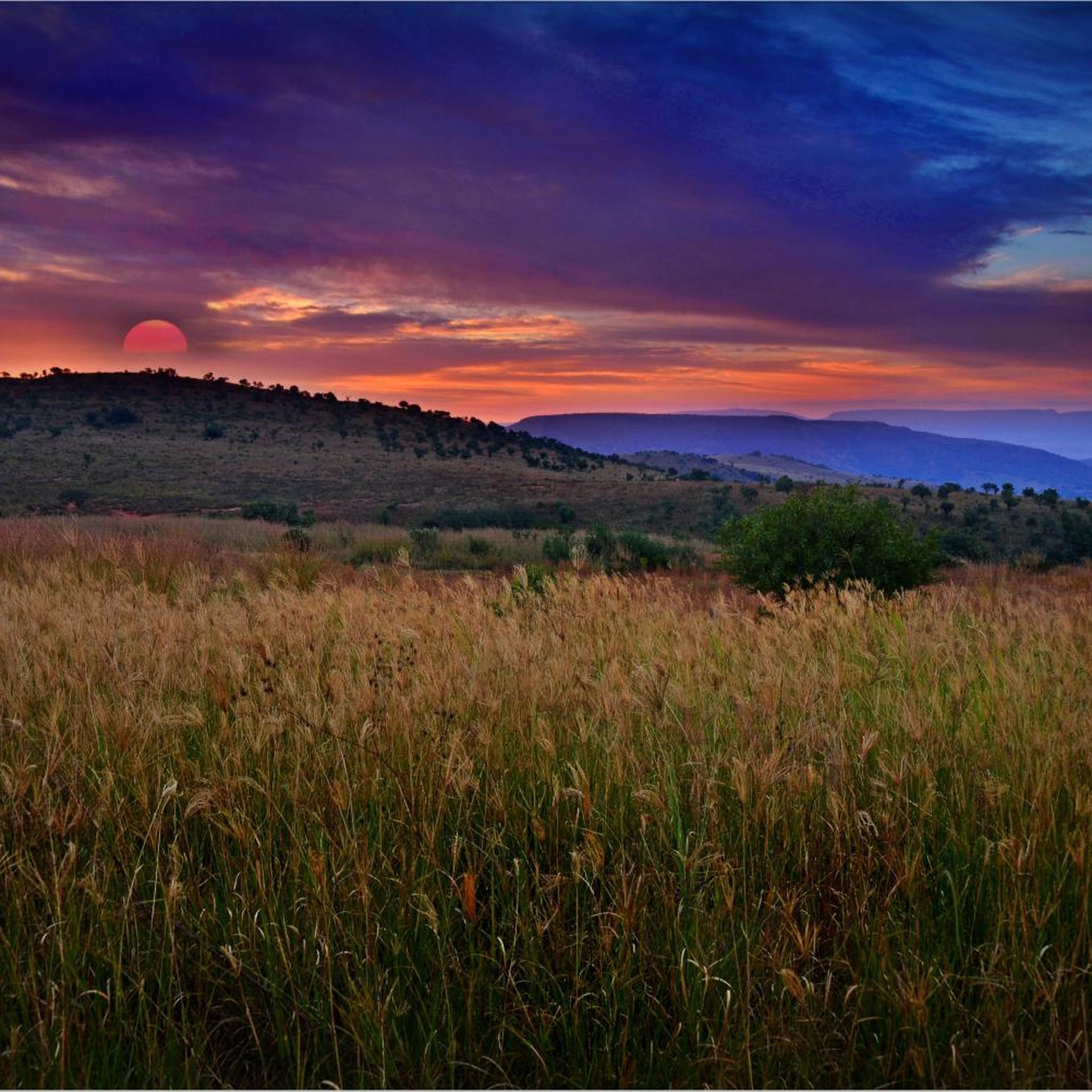 Maropeng Boutique Hotel 35/47