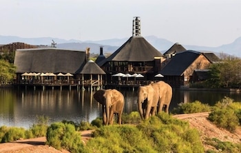 Buffelsdrift Game Lodge photo4