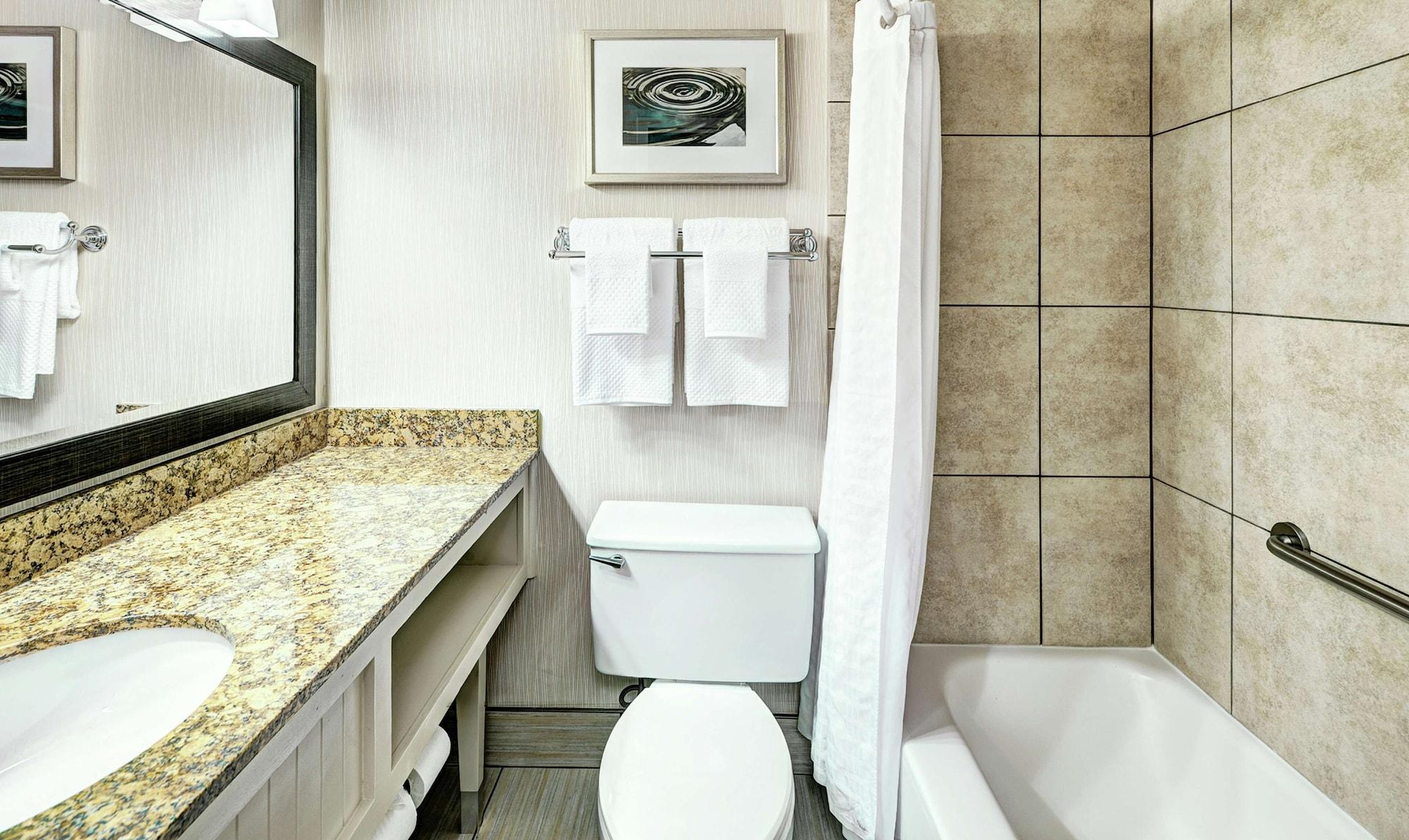 جناح تنفيذي بسرير كينج مع أريكة، DoubleTree by Hilton Milwaukee Downtown 2/3