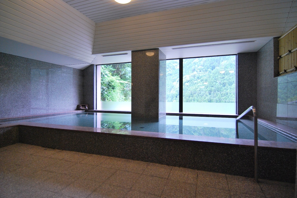 Shin Iya Onsen Hotel Kazurabashi 30/55