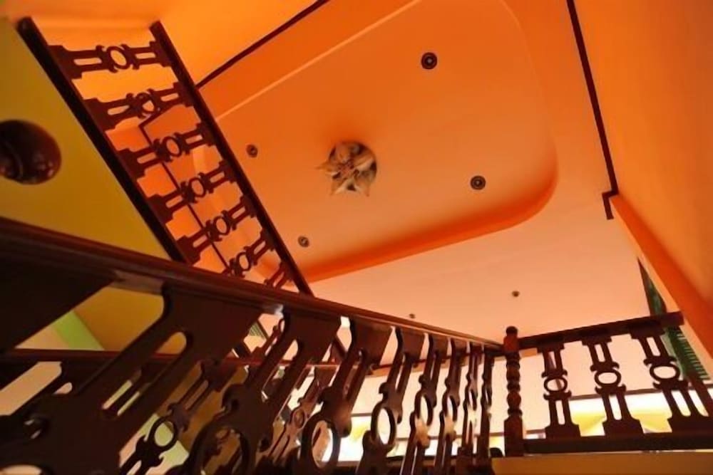 Magic House Hostel 13/22