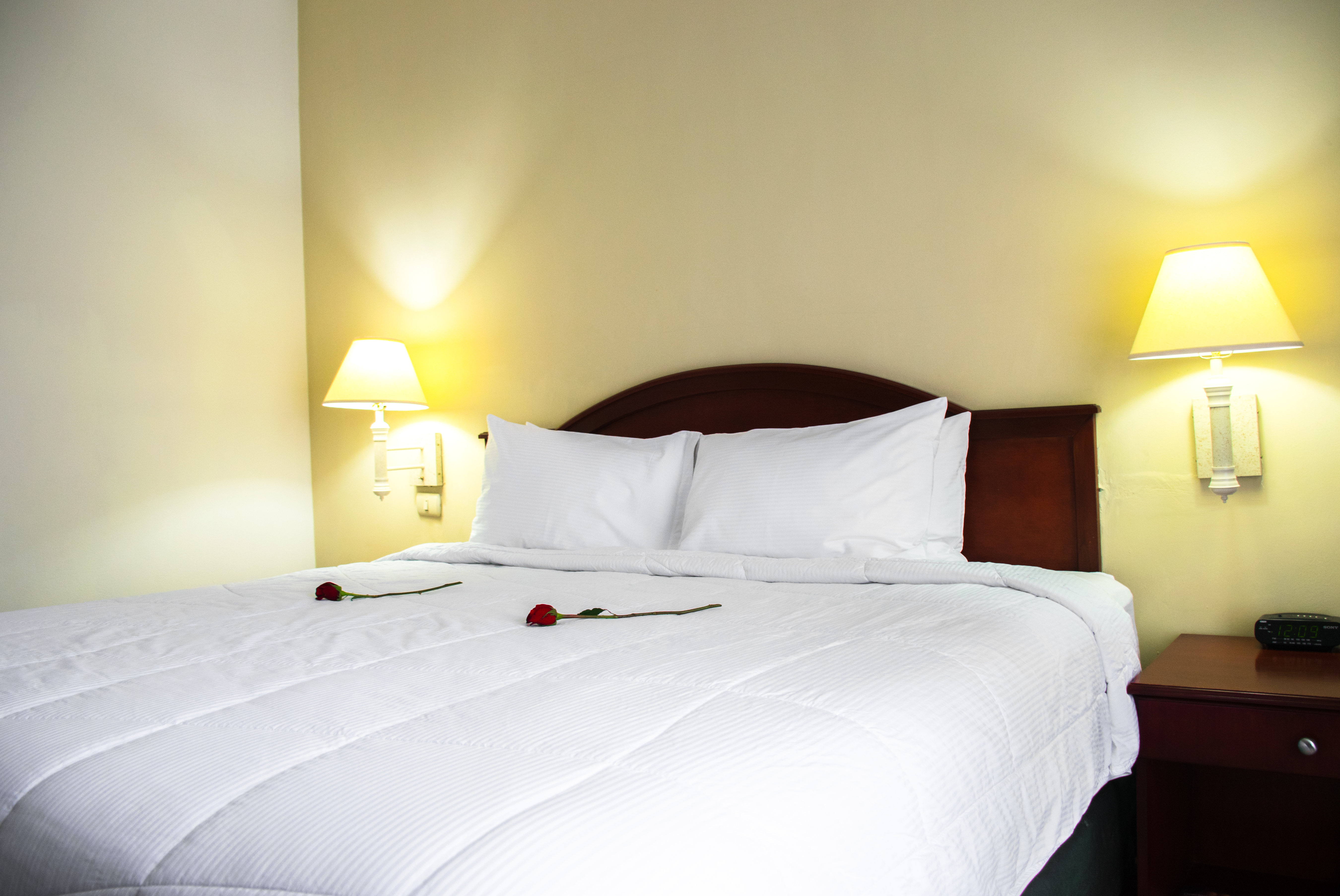Hotel Mirador Plaza 3/9