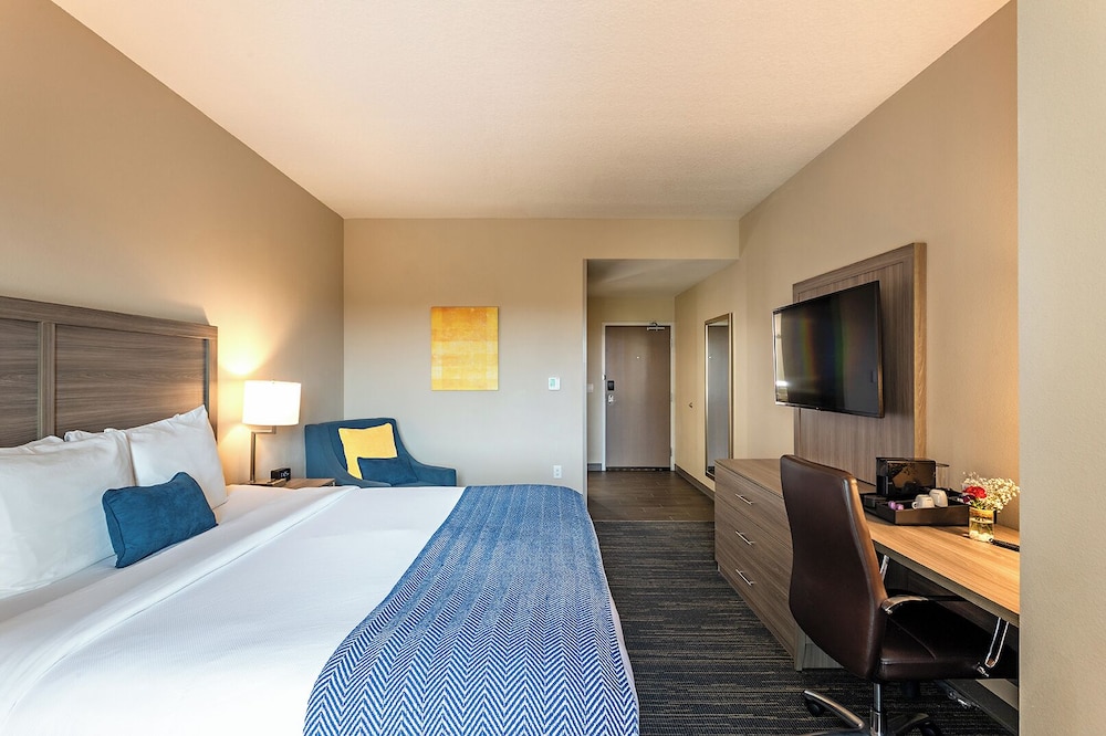 Room, King Bed