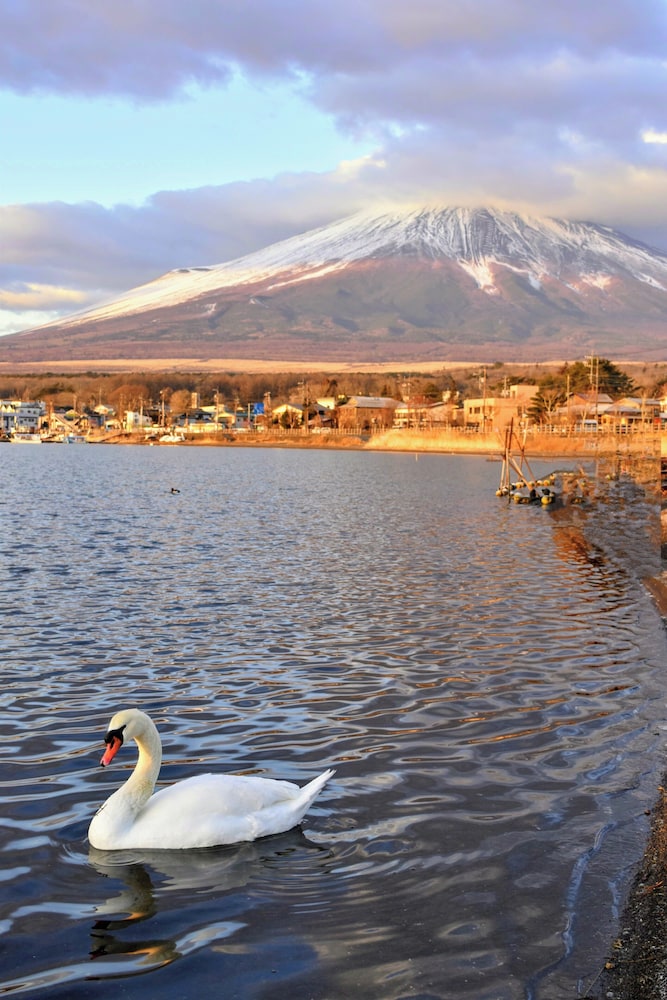 Hotel Mt. Fuji 55/65