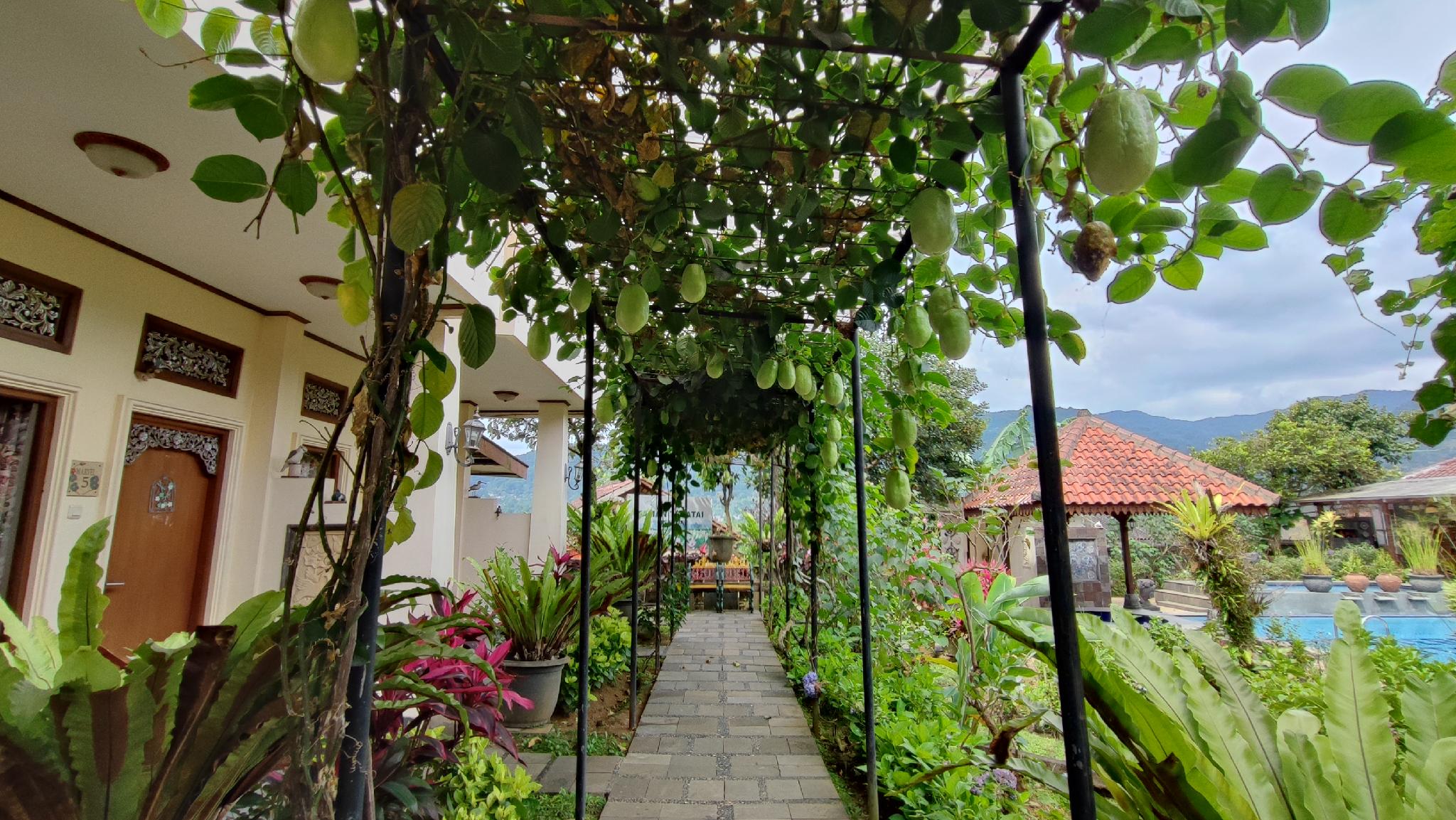 Taman Teratai Hotel 47/50