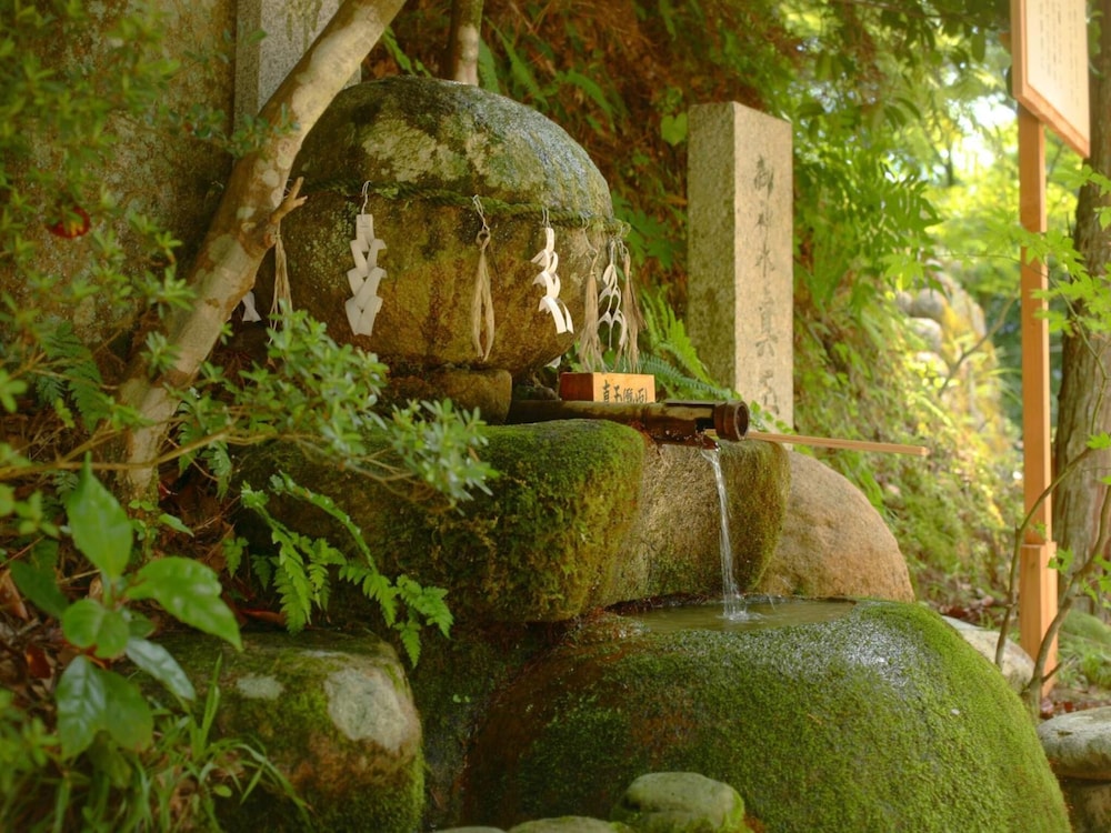 surroundings