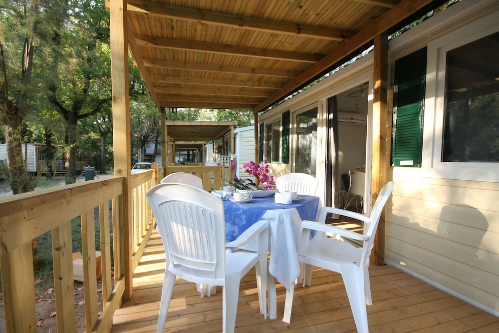 Club del Sole Spina Family Collection 24/50