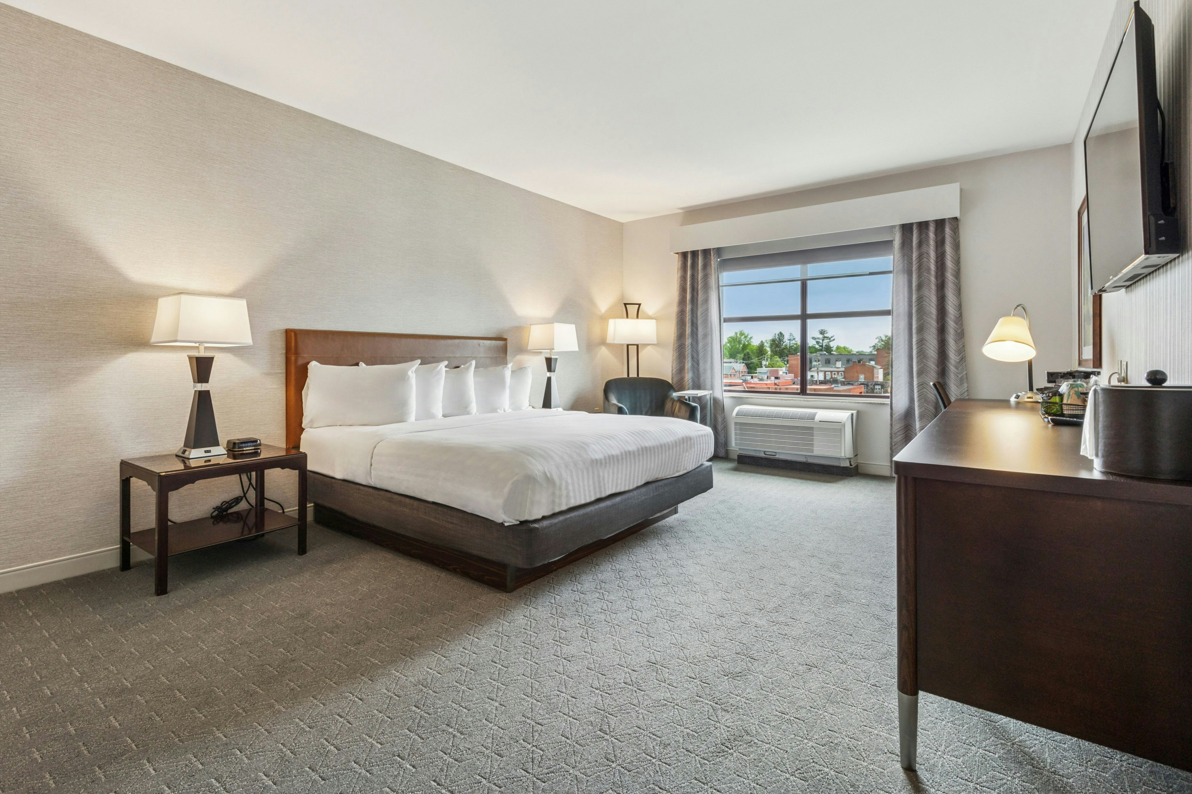 Hotel Warner 23/66