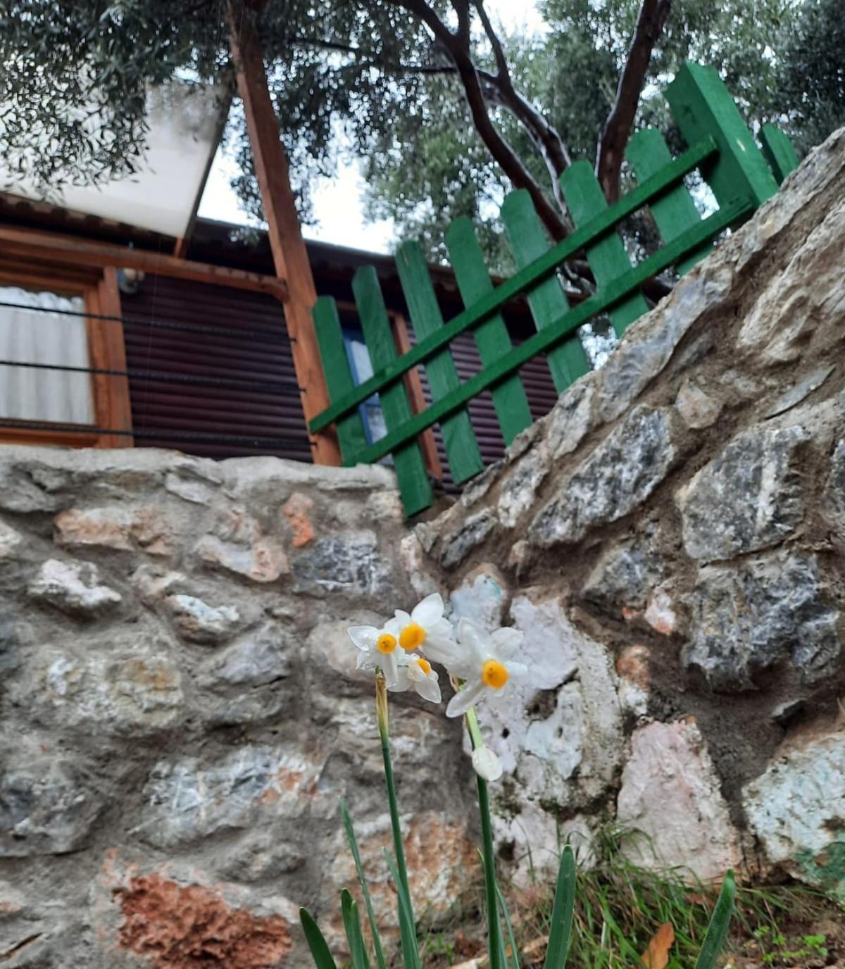 Bahar Bahce Datca 38/39