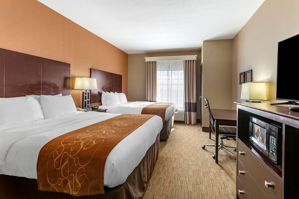 Comfort Suites Perrysburg - Toledo South 16/49