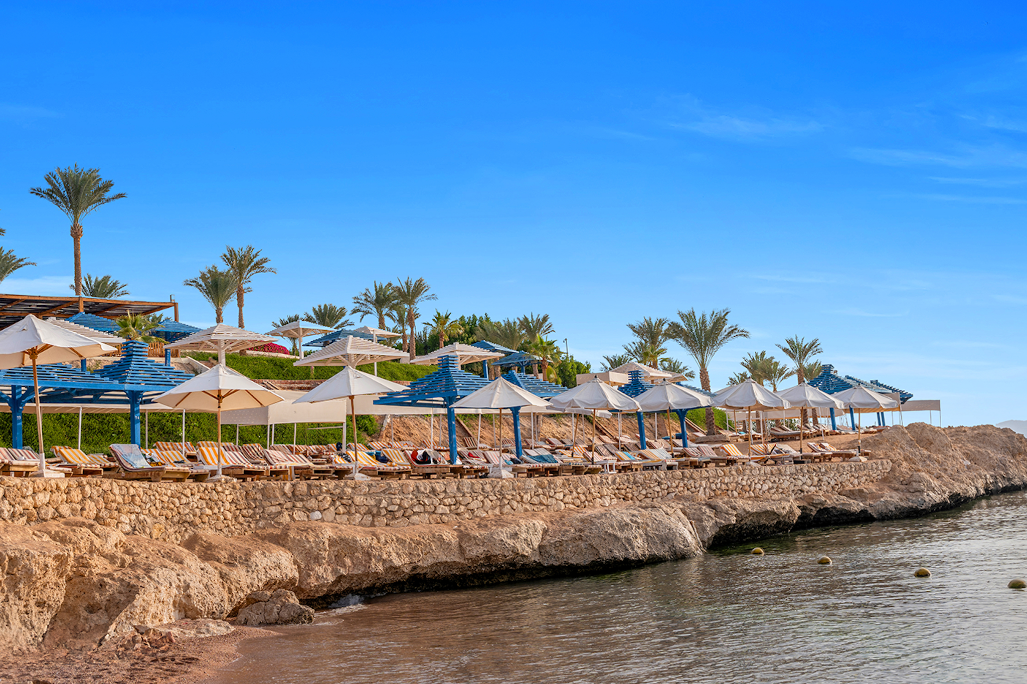 Grand Oasis Resort 1/1