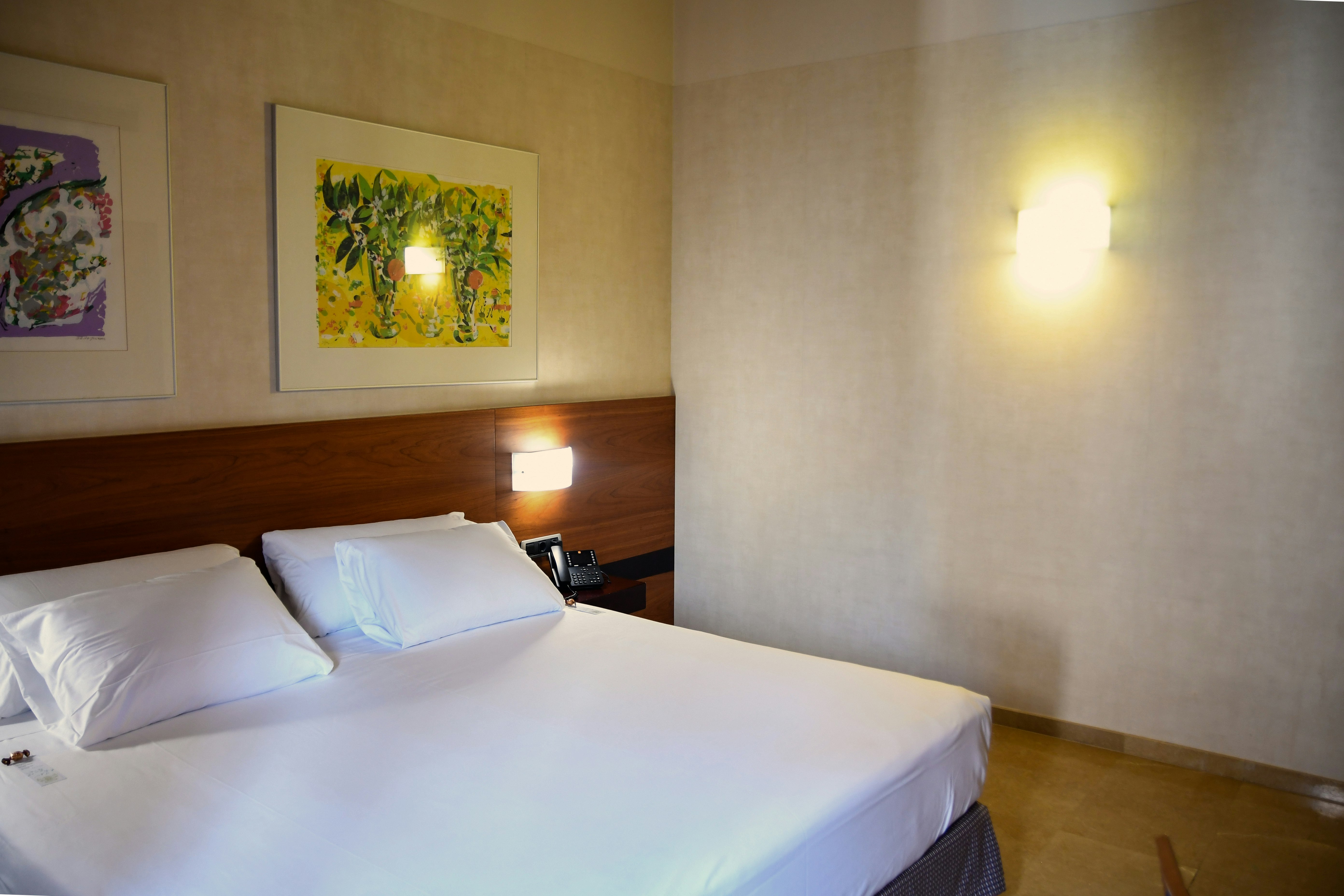 Hotel Palacio de Tudemir 17/76