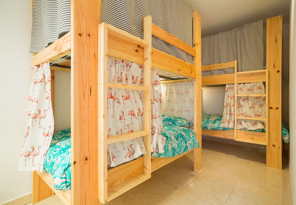 Avocado Surf Hostel 26/50