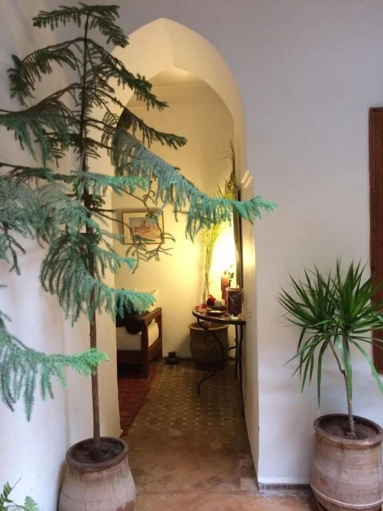 RIAD IRENE 5/50