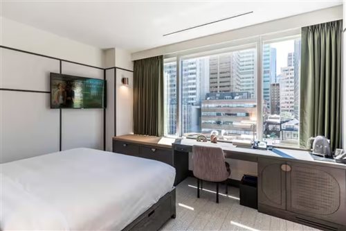 Room, Single, King Bed