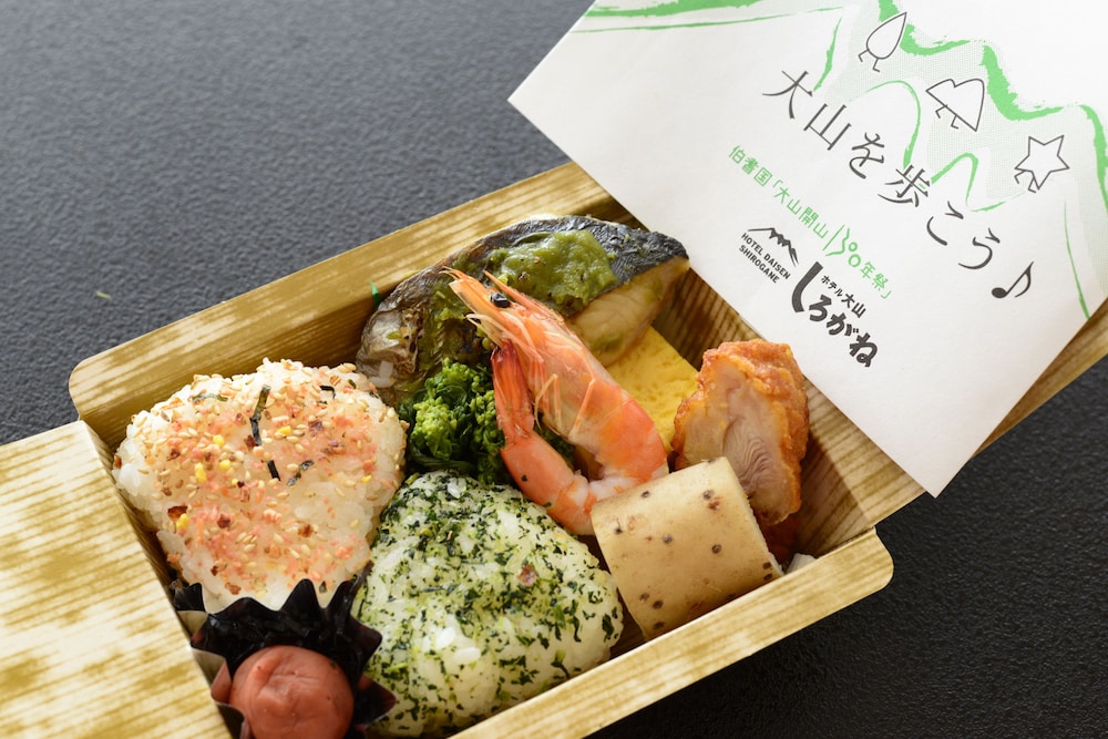 Hotel Daisen Shirogane 24/60