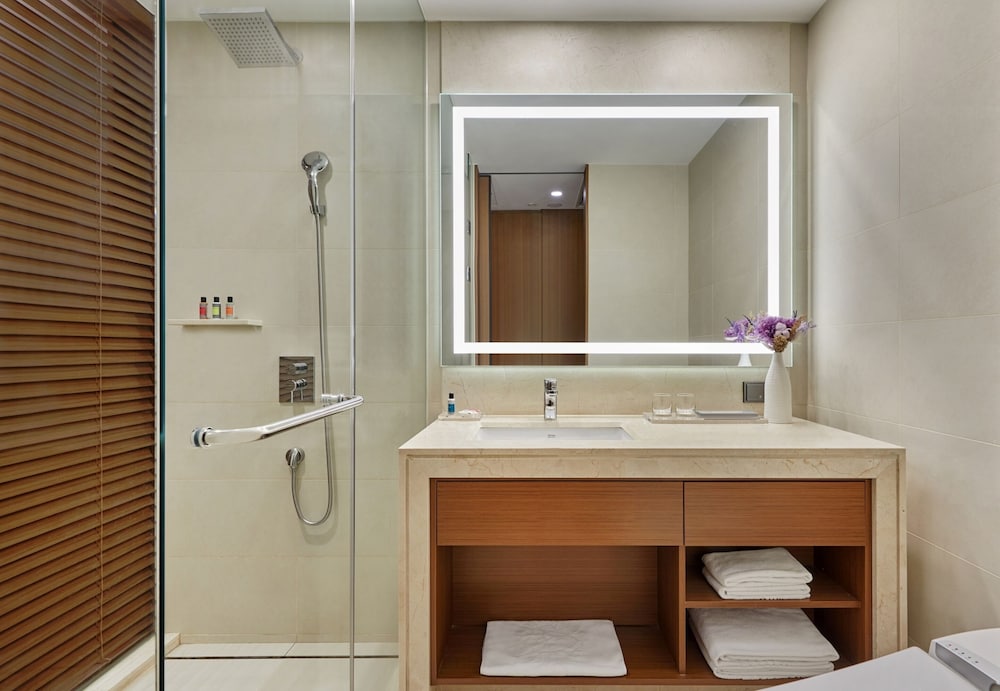 Hotel Skypark Central Seoul Pangyo 24/65