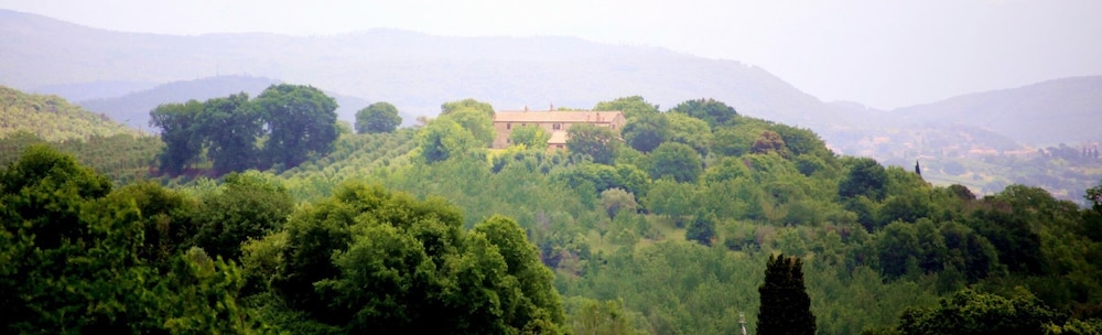 Podere Agrituristico Luchiano 39/50