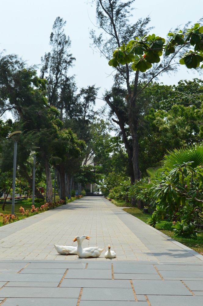 Welcomhotel by ITC Hotels, Kences Palm Beach 34/48
