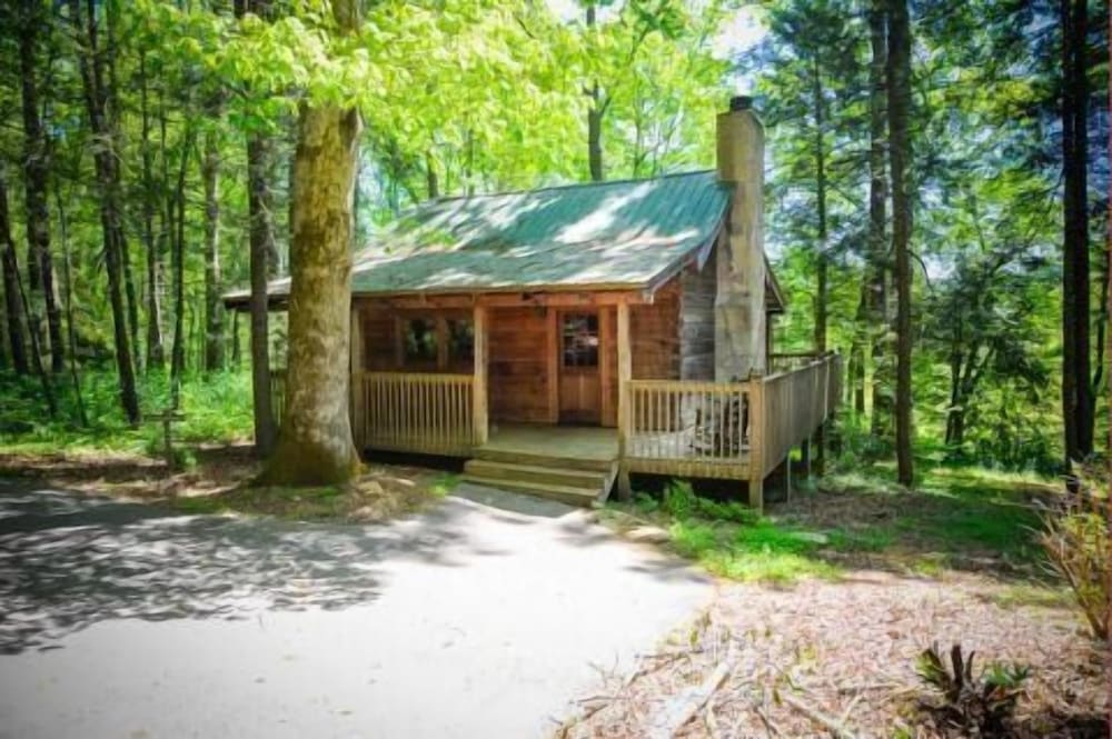 Dancing Bear Lodge 5/50