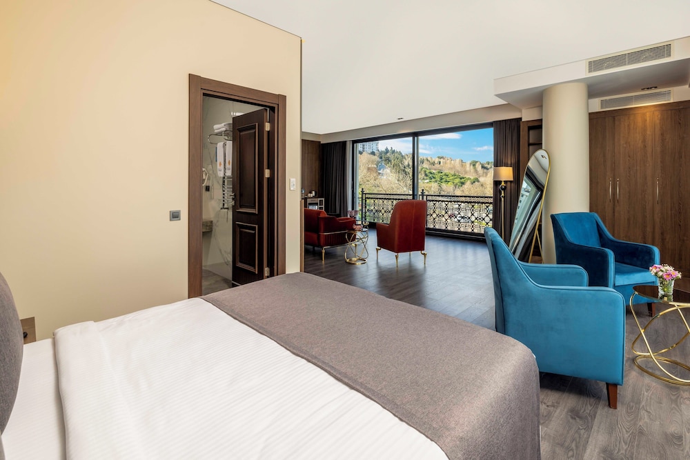 Ezkar Bathonea Art Istanbul Hotel 16/60