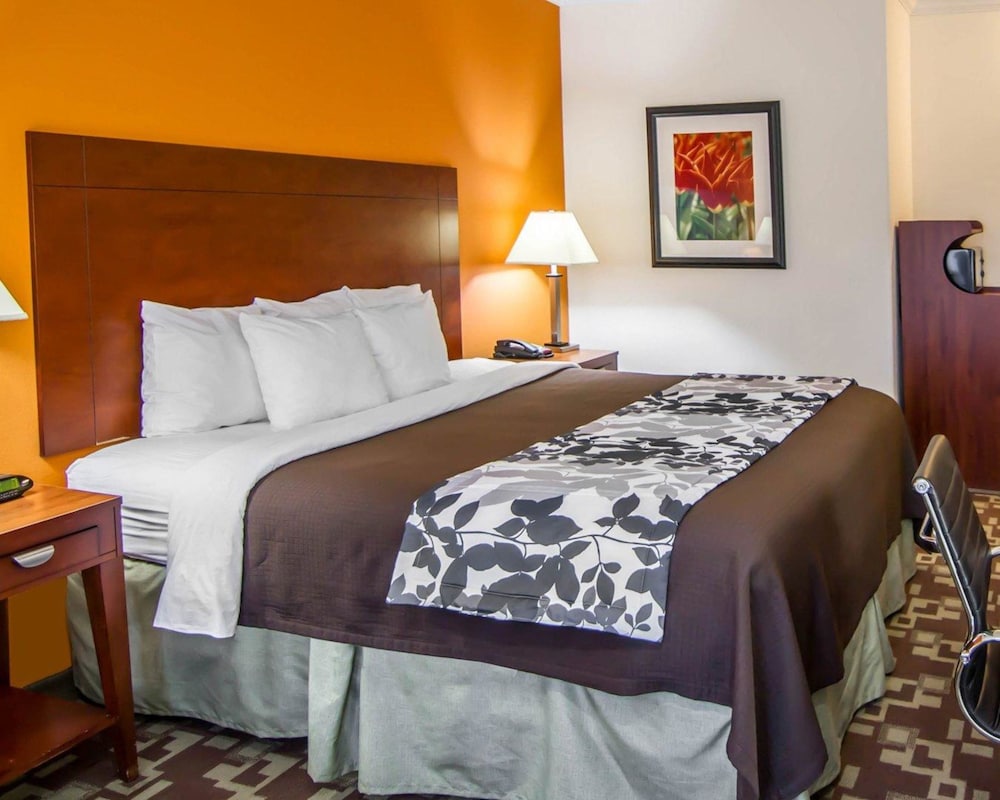 Sleep Inn Suites I 20 11/43