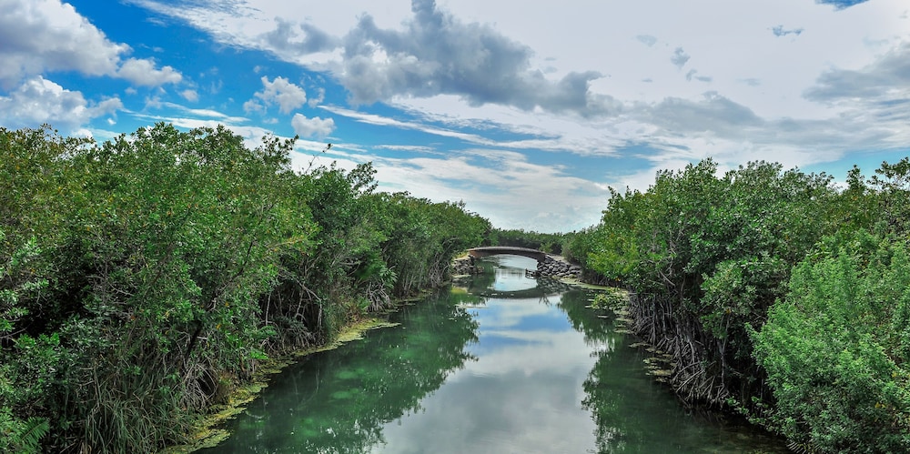 Fairmont Heritage Place Mayakoba 46/49