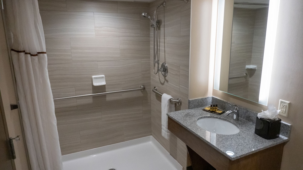 Radisson Hotel St. Paul Downtown 10/36