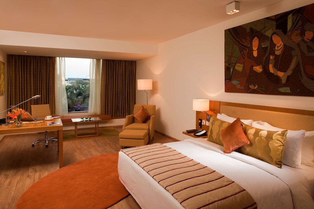 Radisson Blu Plaza Hotel Hyderabad Banjara Hills 21/73