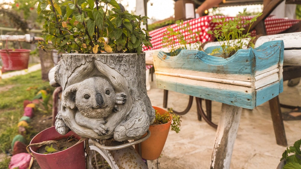 Koala Bungalows 29/49