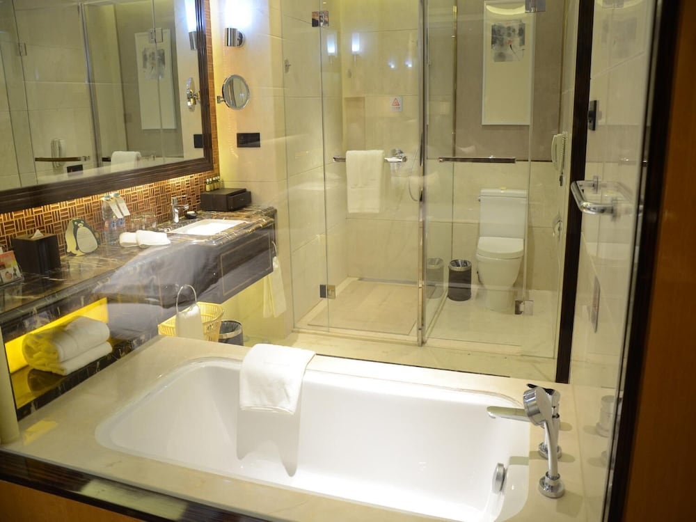 Mingcheng Jin Jiang Hotel 15/54