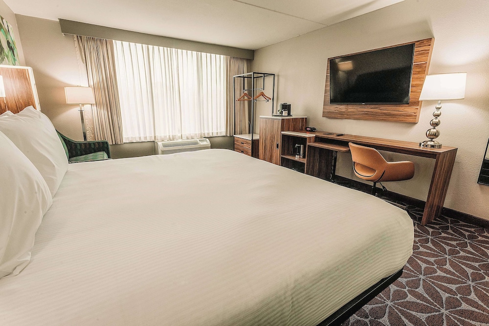Junior Suite, King Bed