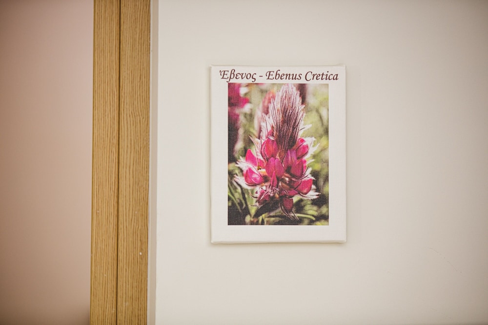 Z Boutique Hotel photo5