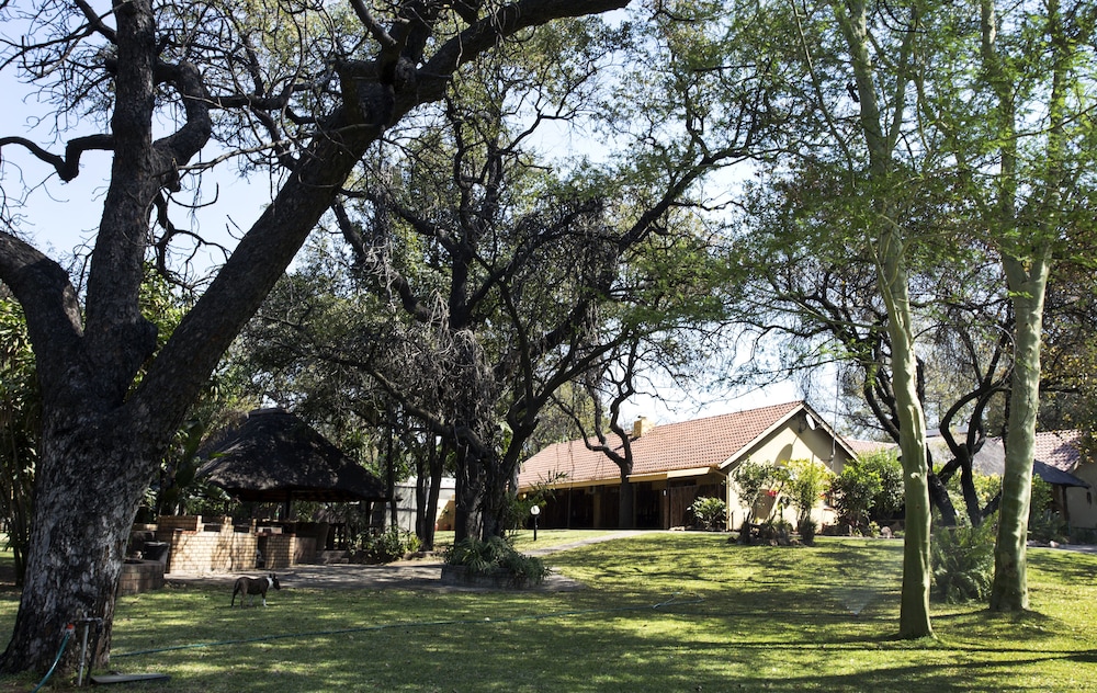 Sunbird Lodge - Guest House 11/40