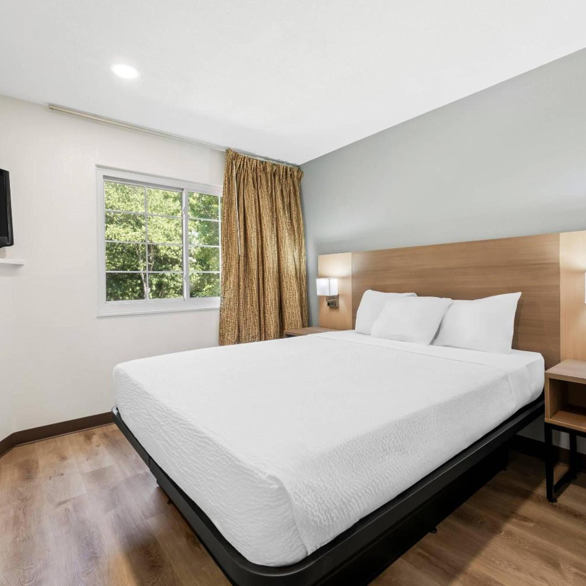1 Bedroom, Suite, Apartment, Kitchen