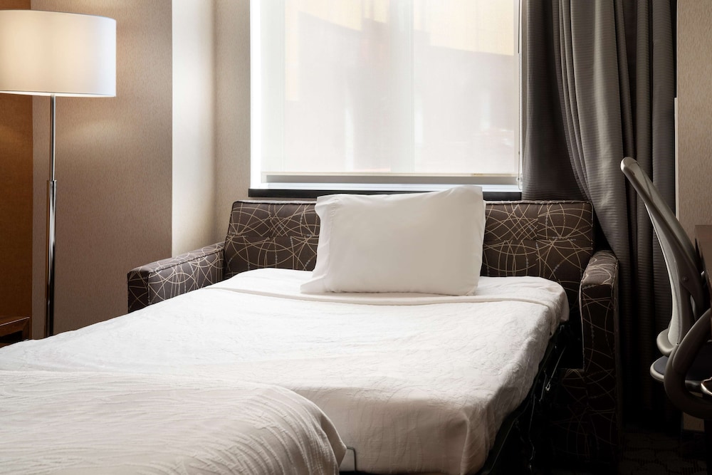 Hilton Garden Inn Long Island City New York 23/62