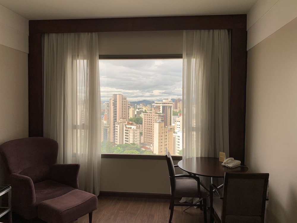 Mercure Belo Horizonte Lourdes Hotel 32/47