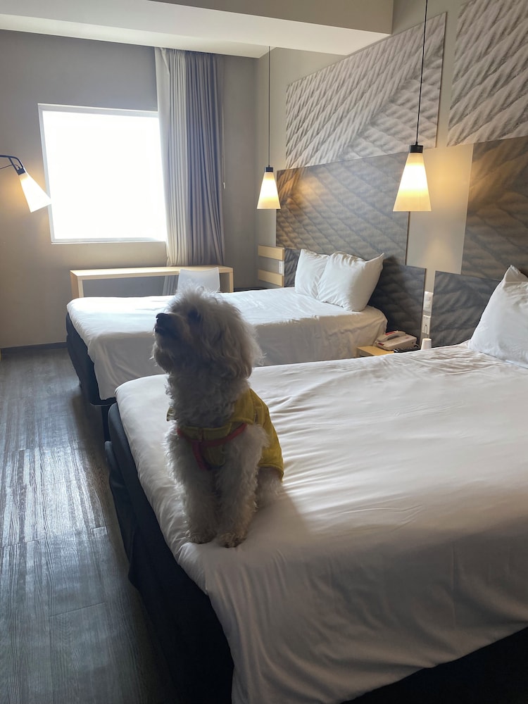 Ibis Mexico Tlalnepantla 20/50