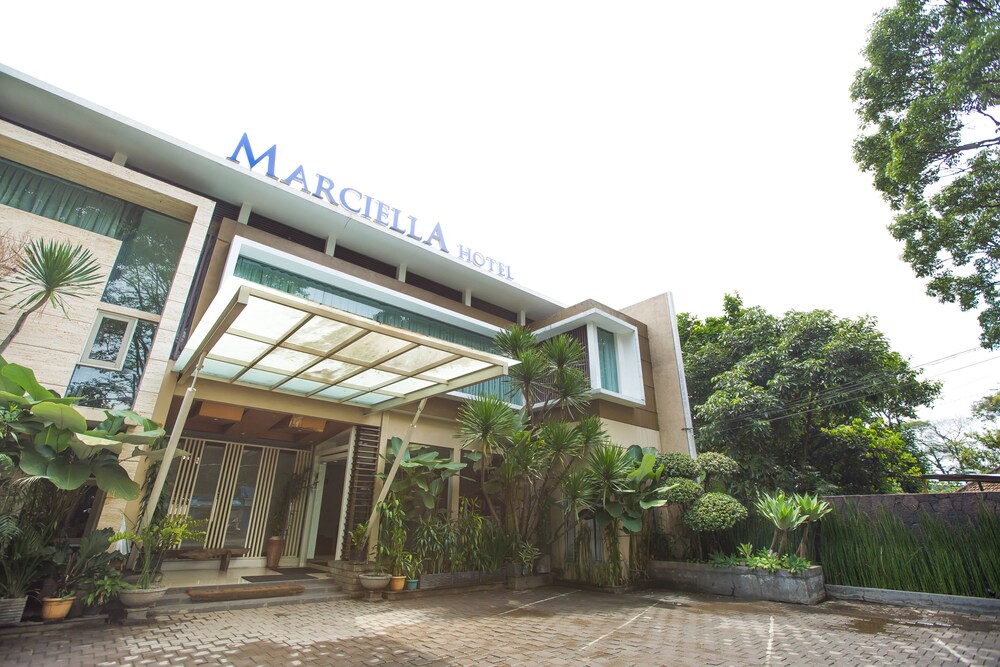Marciella Hotel 2/66