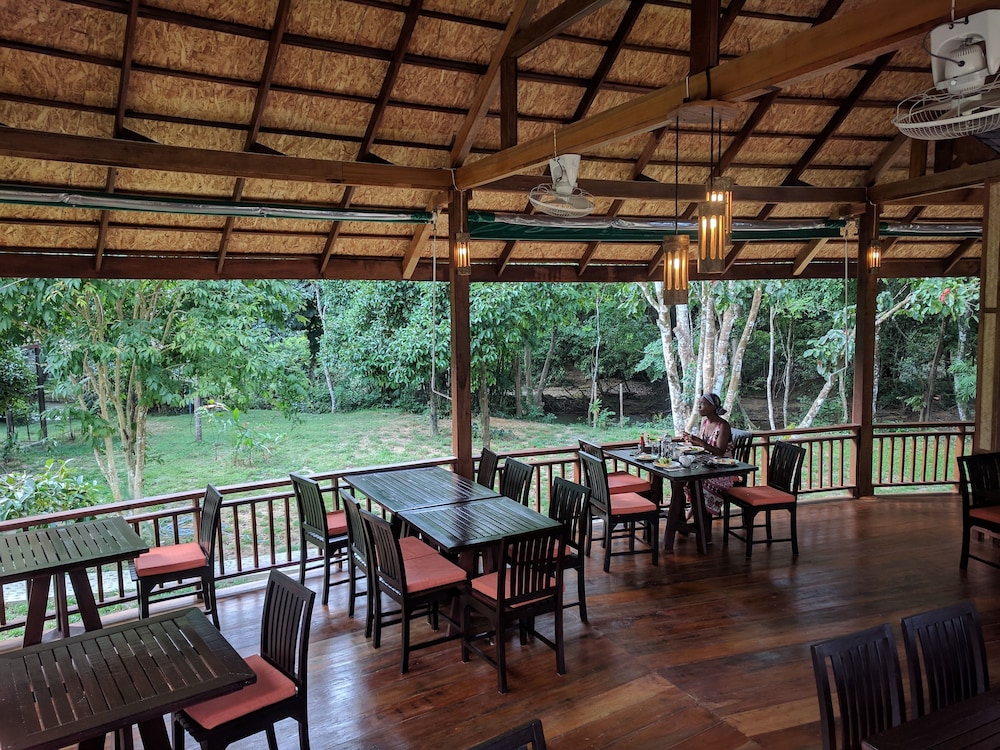 Our Jungle Camp - Eco Resort 61/75