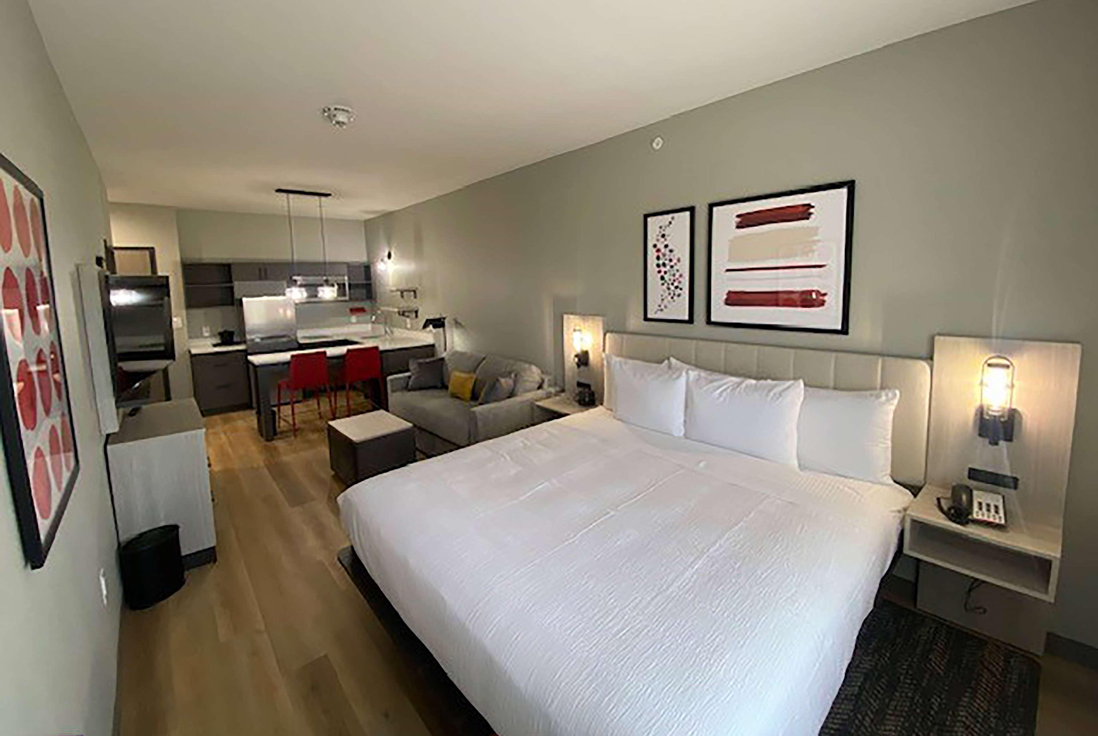 Suite, King Bed