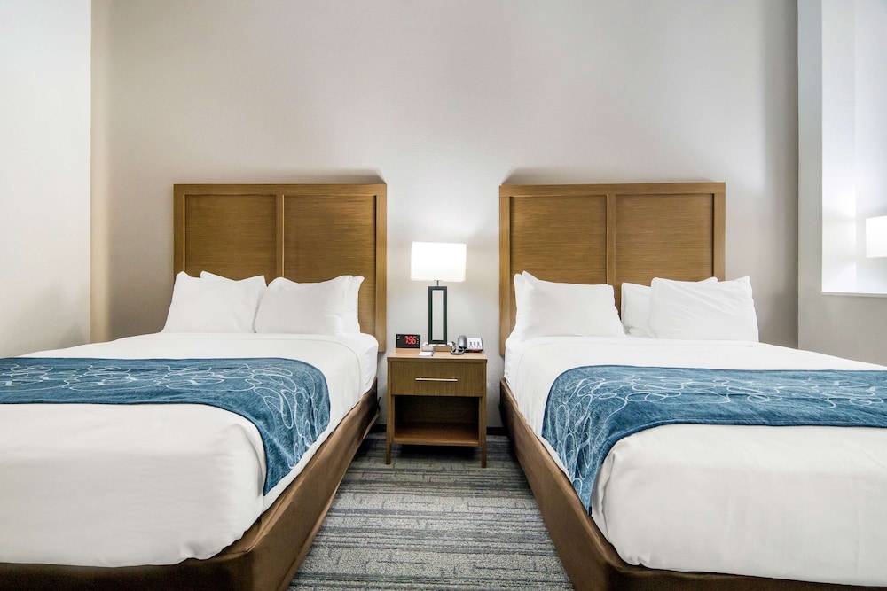 Comfort Suites DeSoto Dallas South 19/51