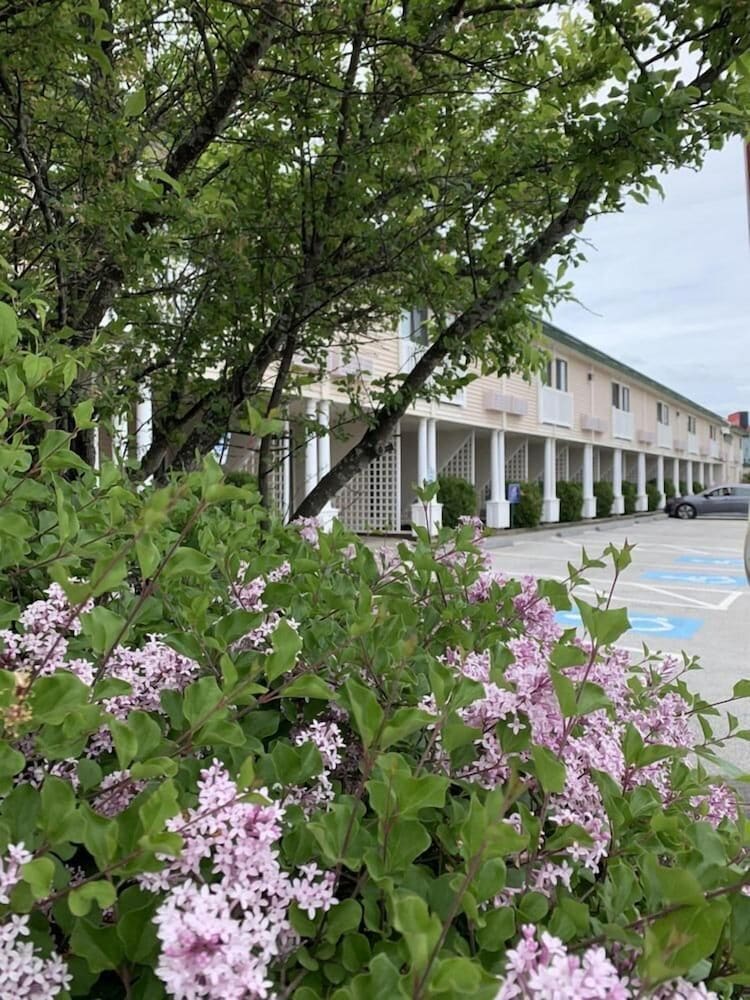 Fireside Inn And Suites 9/64
