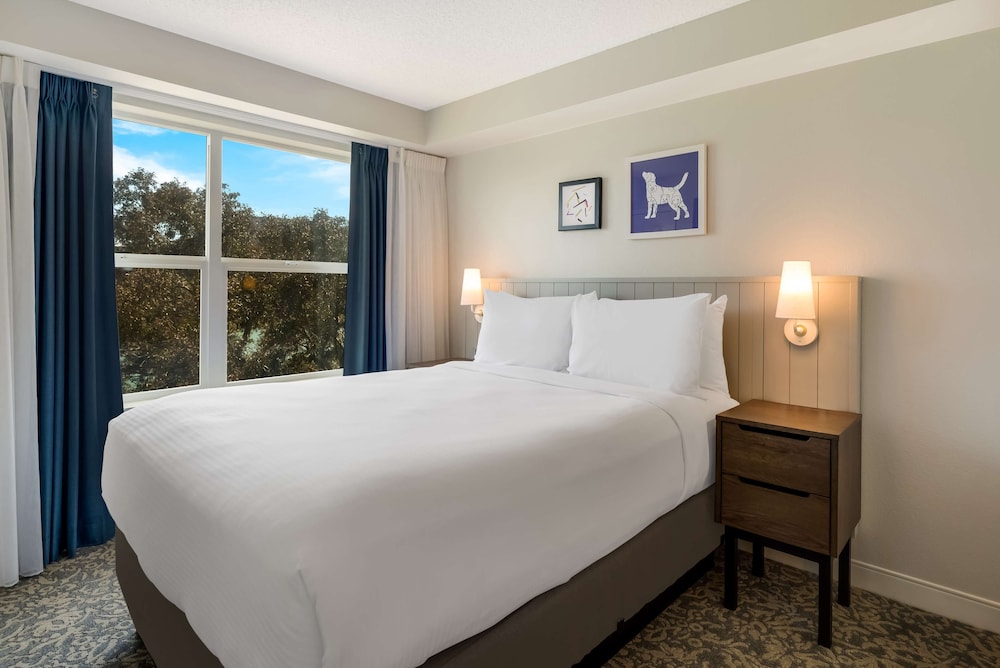 1 Bedroom, Superior, Suite, Queen Bed, Bay View, Sofa