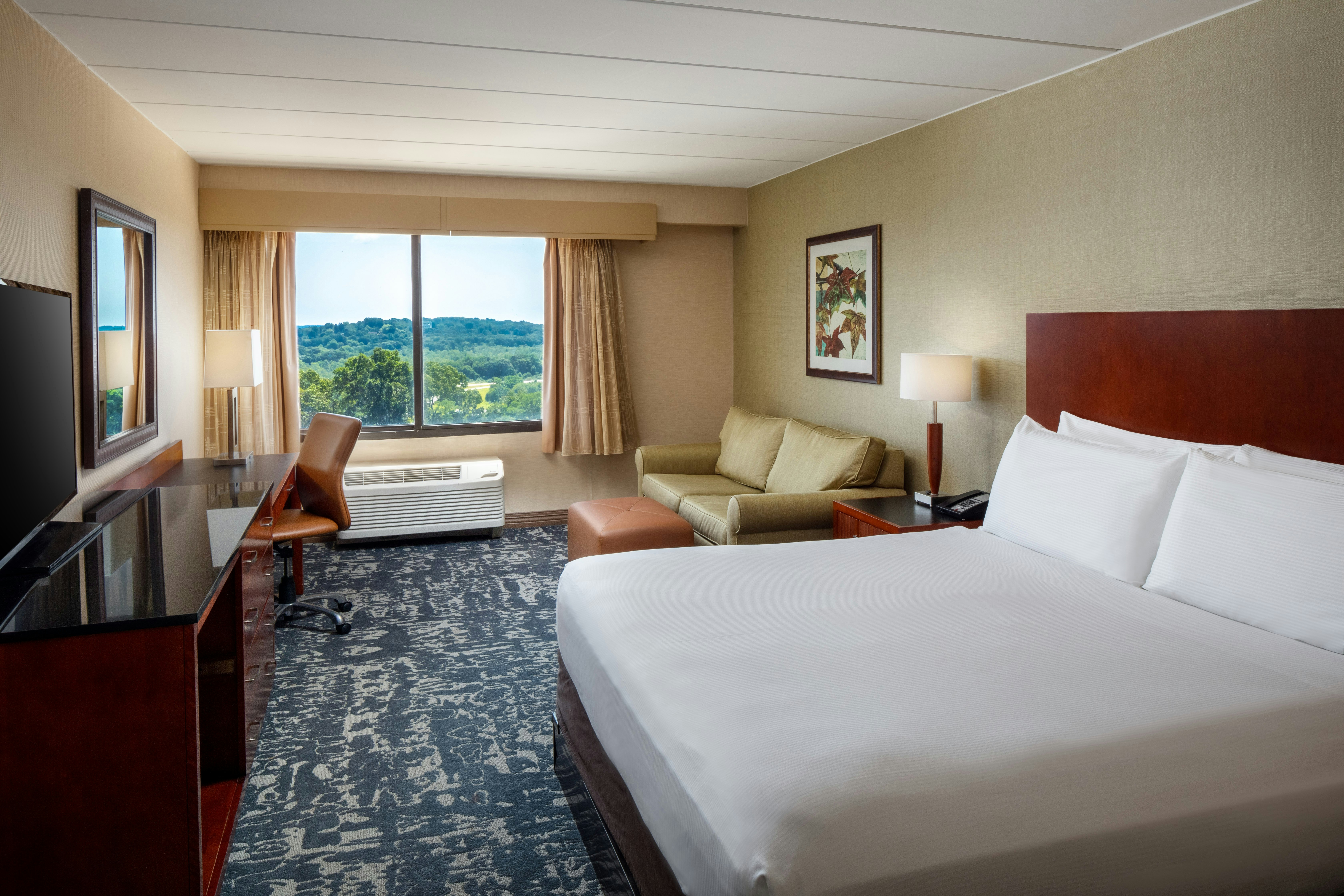 Room, King Bed
