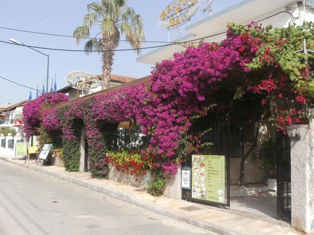 Harry's Bar & Apartments 5/50