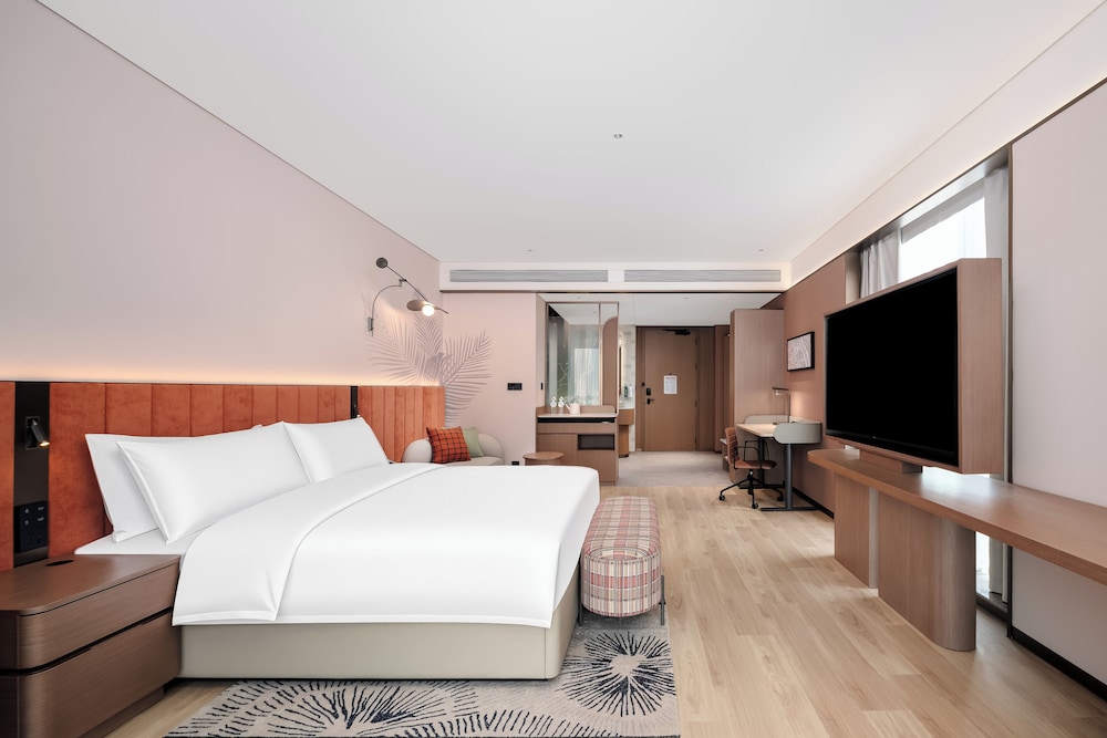 Hilton Garden Inn Mianyang Santai 11/48