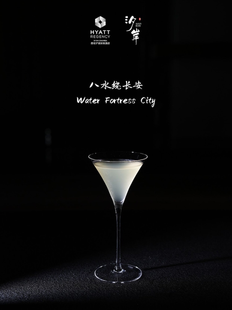 Hyatt Regency Xi'An Chanba 17/50